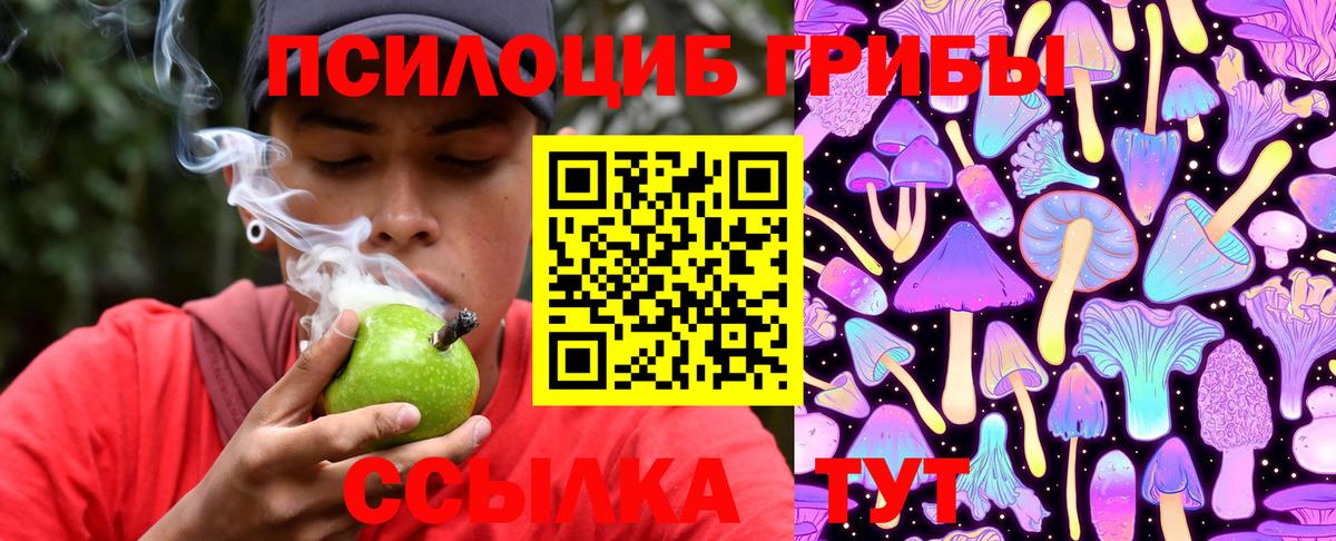 Новочебоксарск  Псилоцибиновые грибы ЛСД  Галлюциногенные грибы ЛСД  Вход с VPN 